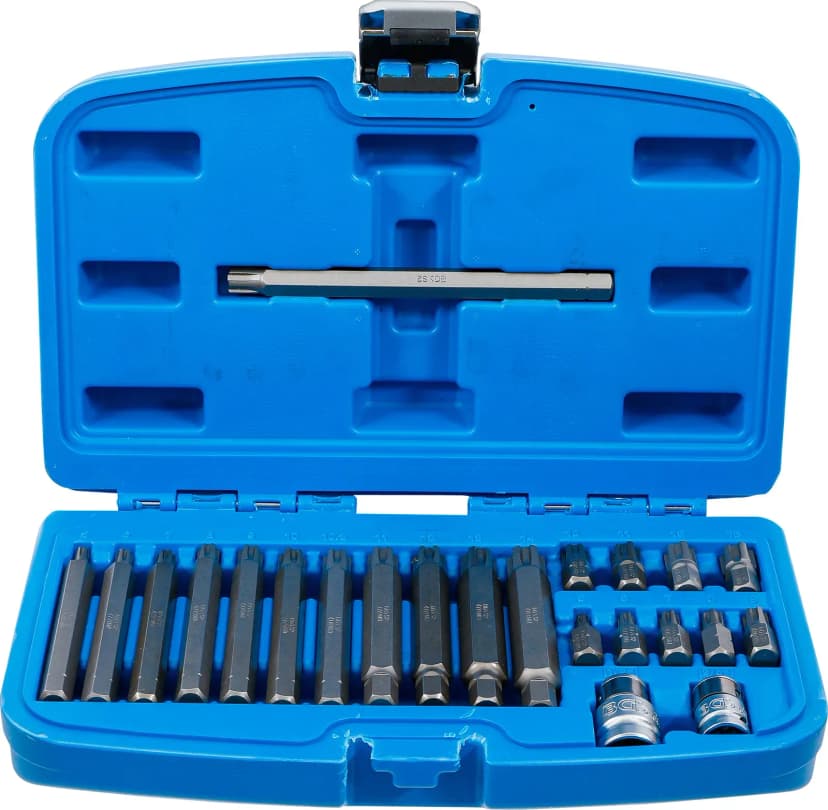 Set bitov, šestrobi pogon 10 mm (3/8"), zobati profil (za Ribe), 22-delni