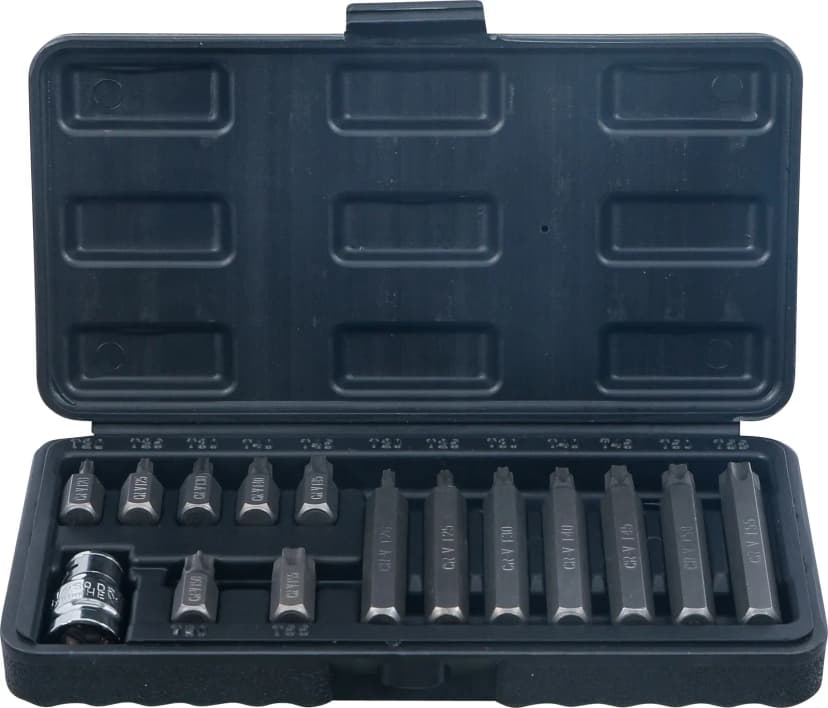 Set bitov, pogon 10 mm (3/8"), T-profil (za Torx), 15-delni