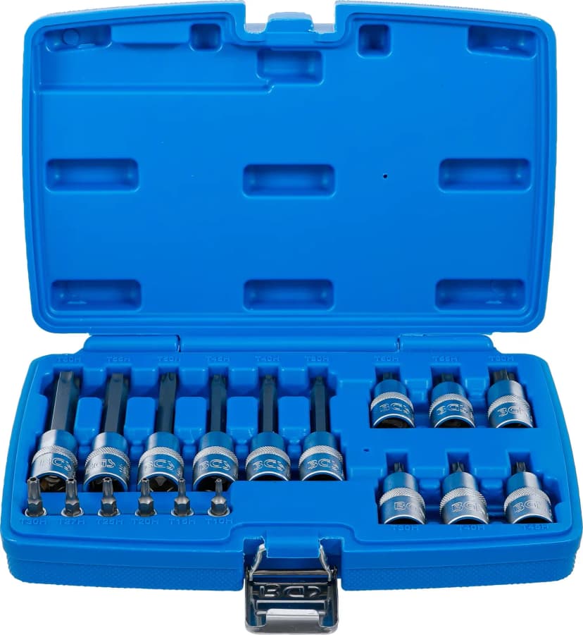 Set nasadnih ključev z biti, pogon 6.3 mm (1/4") / 12.5 mm (1/2"), T-profil z izvrtino (za Torx), 18-delni