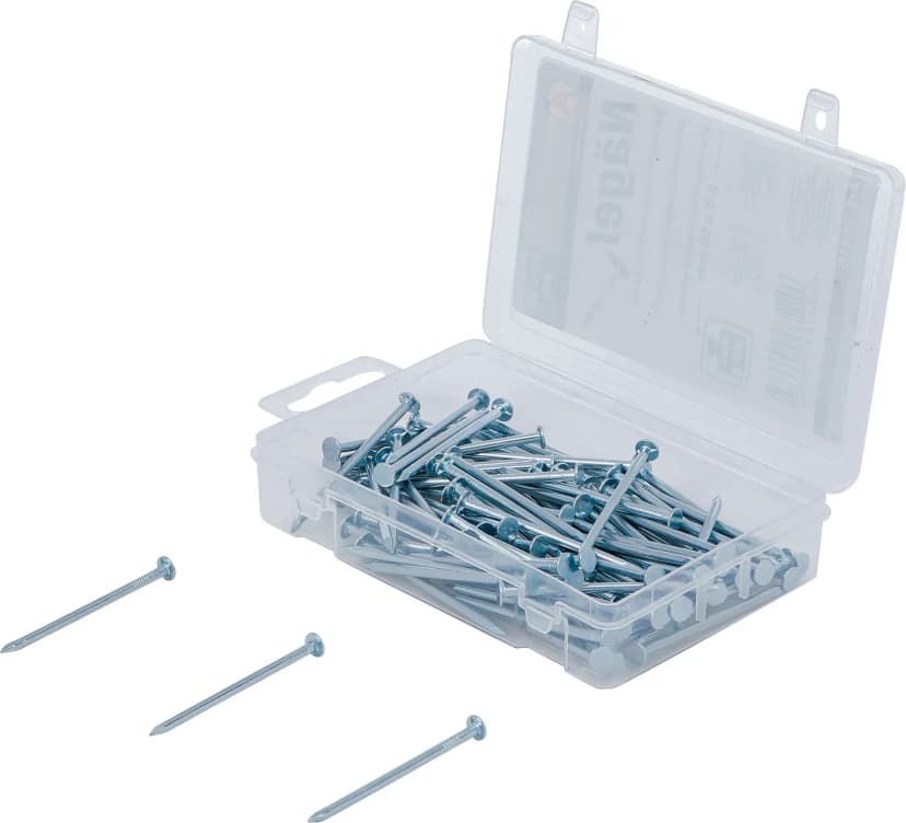 Set žebljev, 200 g, 2.5 x 50 mm
