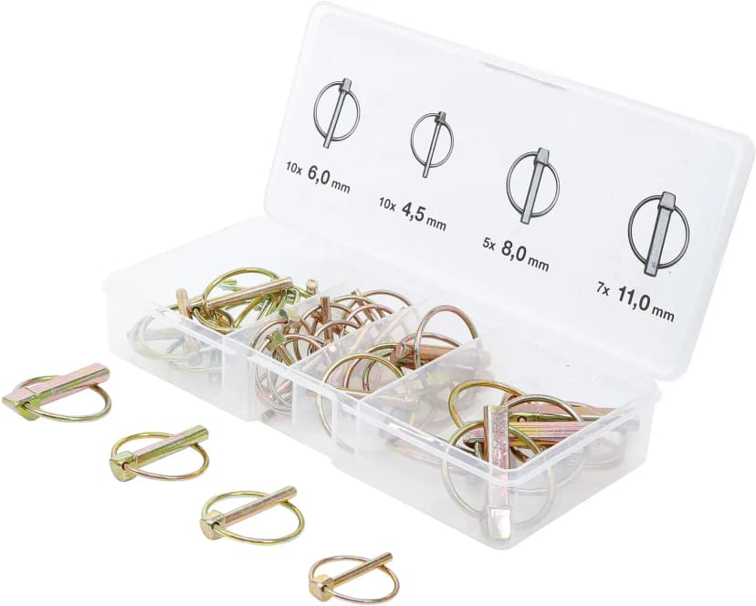Set varovalnih zatičev, zatič Ø 4.5 - 11 mm, 32-delni